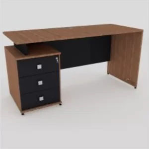 ESCRITORIO EJECUTIVO